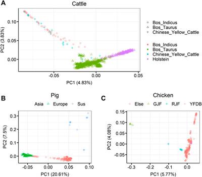 Exploring the optimal strategy of imputation from SNP array to whole-genome sequencing data in farm animals